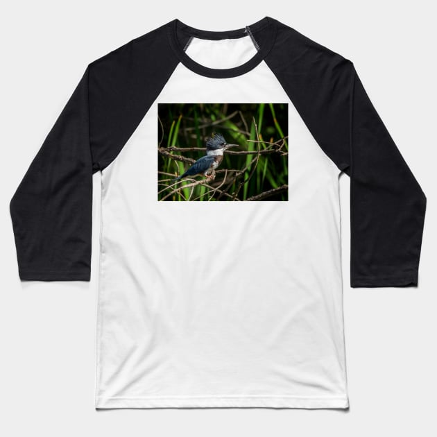 Kingfisher Waiting to Pounce Baseball T-Shirt by jecphotography
